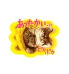 ベンガル猫のミルコ（個別スタンプ：38）