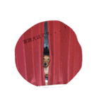 pretty eye（個別スタンプ：5）