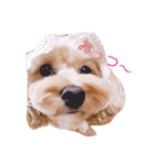 エイトstamp（個別スタンプ：2）