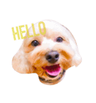 エイトstamp（個別スタンプ：5）
