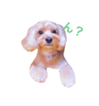 エイトstamp（個別スタンプ：6）