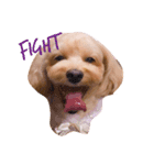 エイトstamp（個別スタンプ：7）