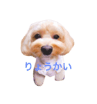 エイトstamp（個別スタンプ：8）