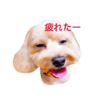 エイトstamp（個別スタンプ：9）