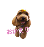 エイトstamp（個別スタンプ：16）