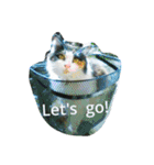No cat, No life.  Kinshiro,Mike,Arashi（個別スタンプ：14）