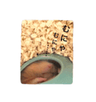 キンクマハムスターのmint(ミント)さんです（個別スタンプ：2）