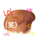 キンクマハムスターのmint(ミント)さんです（個別スタンプ：6）