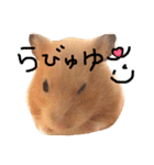 キンクマハムスターのmint(ミント)さんです（個別スタンプ：11）