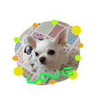 陽菜(ハナ) 2（個別スタンプ：1）
