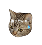 一姫三太郎の日常（個別スタンプ：2）