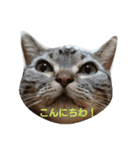 一姫三太郎の日常（個別スタンプ：3）