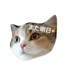 一姫三太郎の日常（個別スタンプ：8）