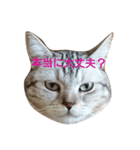 一姫三太郎の日常（個別スタンプ：11）