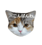 一姫三太郎の日常（個別スタンプ：16）