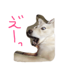 ほけぼん2（個別スタンプ：1）