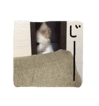 ほけぼん2（個別スタンプ：5）
