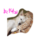 ほけぼん2（個別スタンプ：21）