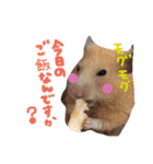 dog party（個別スタンプ：3）