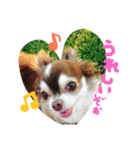 dog party（個別スタンプ：8）