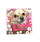 dog party（個別スタンプ：9）