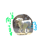 dog party（個別スタンプ：11）