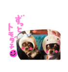 dog party（個別スタンプ：14）