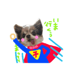 dog party（個別スタンプ：17）