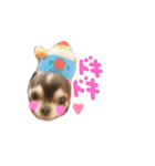 dog party（個別スタンプ：25）