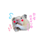 dog party（個別スタンプ：28）