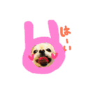 dog party（個別スタンプ：33）