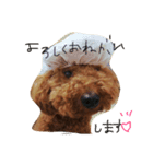 nanguden.l（個別スタンプ：3）