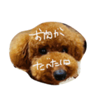nanguden.l（個別スタンプ：7）