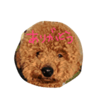 nanguden.l（個別スタンプ：8）