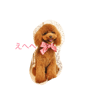 ネネとノノ（個別スタンプ：2）
