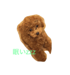 ネネとノノ（個別スタンプ：4）