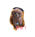 ネネとノノ（個別スタンプ：6）