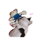 そらぷ（個別スタンプ：7）