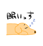 wagayanosanngo（個別スタンプ：12）