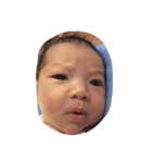 Baby Jellika（個別スタンプ：8）