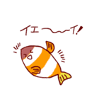 素朴なクマノミのスタンプ（個別スタンプ：11）