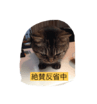 シャビさんのぶつぶつ（個別スタンプ：1）