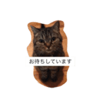 シャビさんのぶつぶつ（個別スタンプ：7）