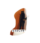 シャビさんのぶつぶつ（個別スタンプ：8）