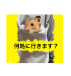ゴールデンハムスターのジェリー（個別スタンプ：2）