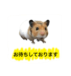 ゴールデンハムスターのジェリー（個別スタンプ：4）