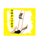 ゴールデンハムスターのジェリー（個別スタンプ：6）