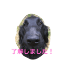 rmuau（個別スタンプ：2）