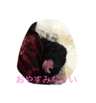 rmuau（個別スタンプ：3）