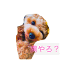 といぷーちゃん（個別スタンプ：1）